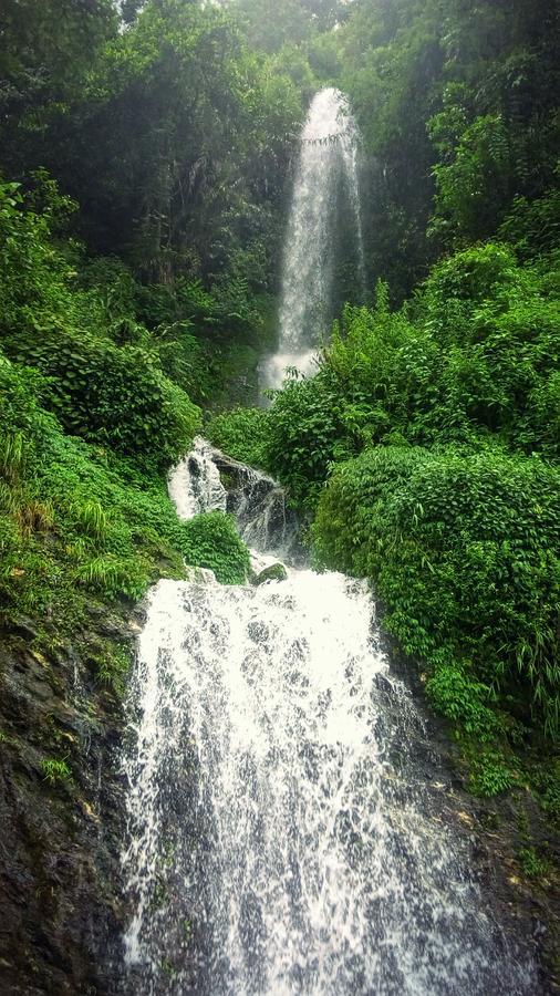 Enchanted Forest Farmstay Gangtok Exterior photo