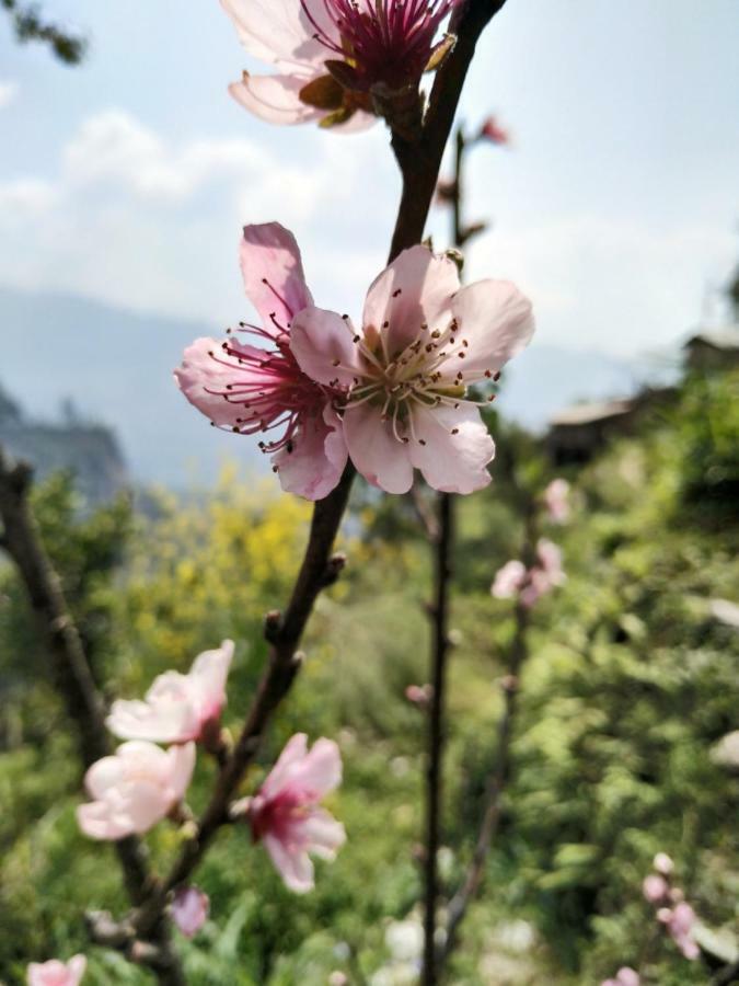 Enchanted Forest Farmstay Gangtok Exterior photo