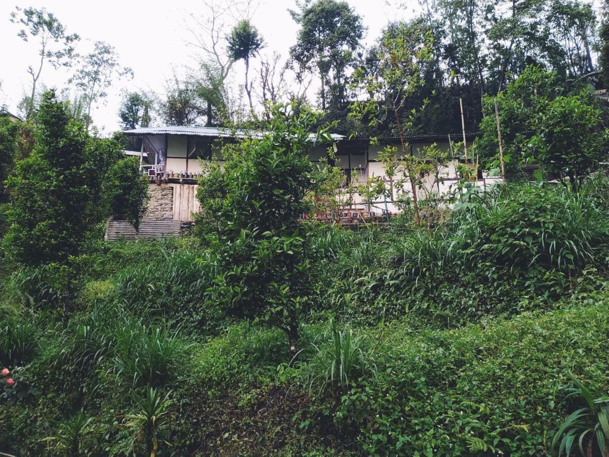 Enchanted Forest Farmstay Gangtok Exterior photo